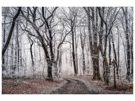 canvas-print-wintry-forest