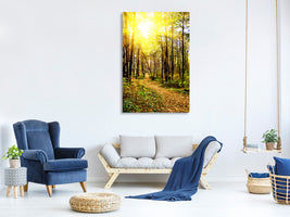 canvas-print-woodland-walk-in-the-autumn-sun