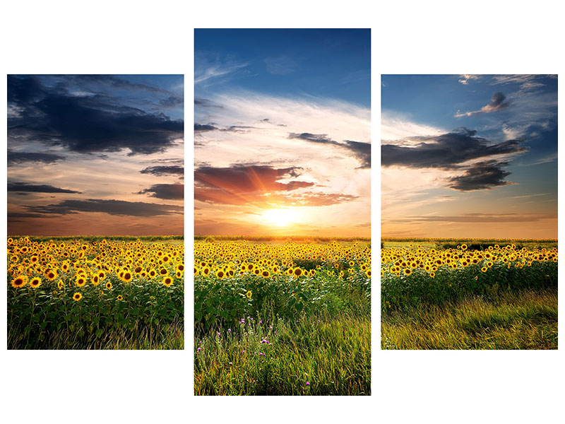 modern-3-piece-canvas-print-a-field-of-sunflowers