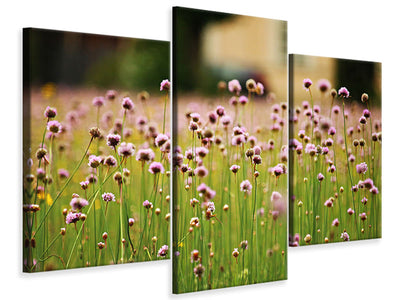 modern-3-piece-canvas-print-a-meadow-full-of-flowers