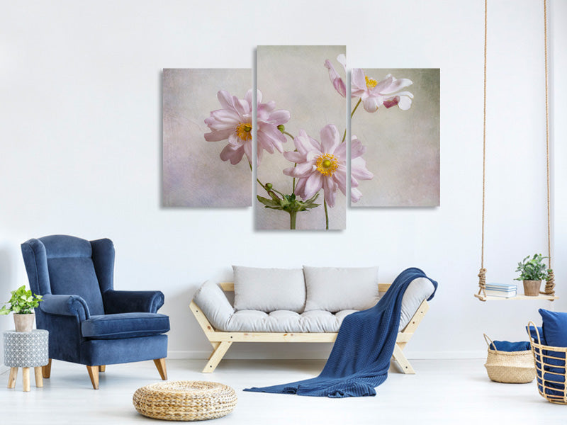 modern-3-piece-canvas-print-anemones