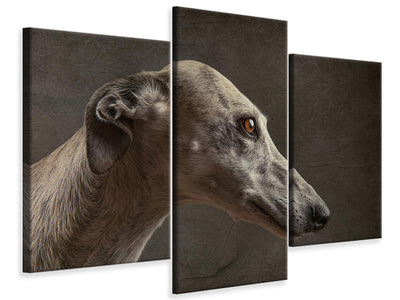 modern-3-piece-canvas-print-anna