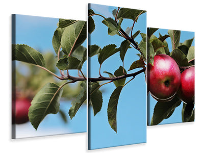 modern-3-piece-canvas-print-apple-on-the-tree