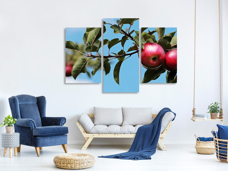 modern-3-piece-canvas-print-apple-on-the-tree