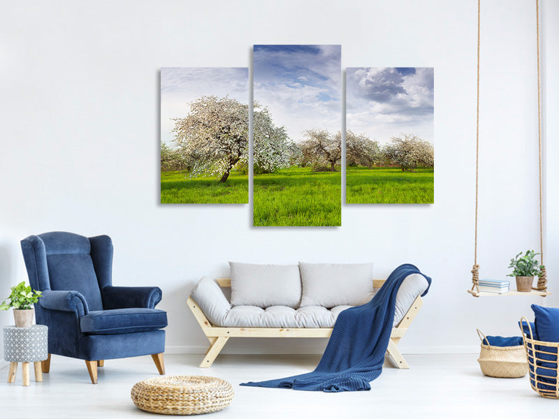 modern-3-piece-canvas-print-apple-tree-garden