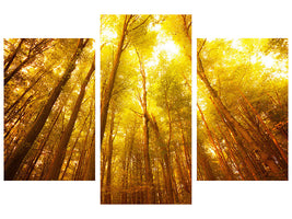 modern-3-piece-canvas-print-autumn-forest