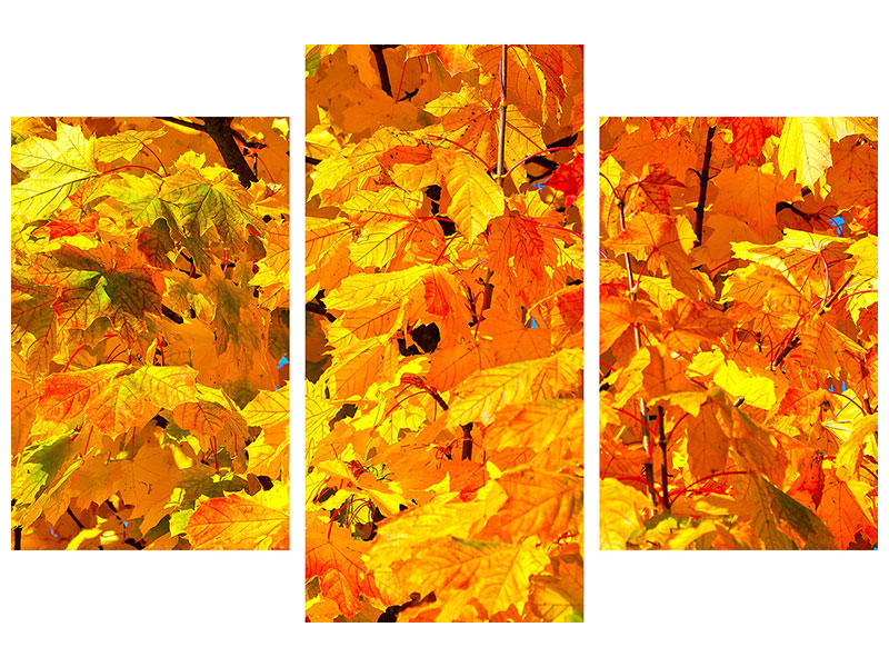 modern-3-piece-canvas-print-autumn-leaves-ii