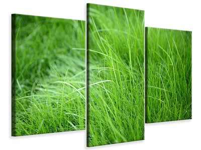 modern-3-piece-canvas-print-blades-of-grass