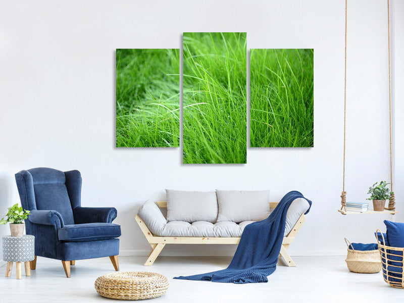 modern-3-piece-canvas-print-blades-of-grass