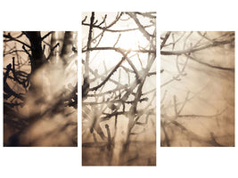 modern-3-piece-canvas-print-branches-in-fog-light