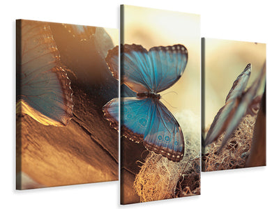 modern-3-piece-canvas-print-butterflies
