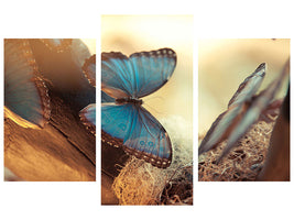 modern-3-piece-canvas-print-butterflies