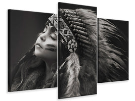 modern-3-piece-canvas-print-chief-of-her-dreams