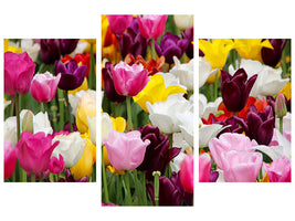 modern-3-piece-canvas-print-colorful-tulip-field