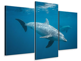 modern-3-piece-canvas-print-curious-dolphin