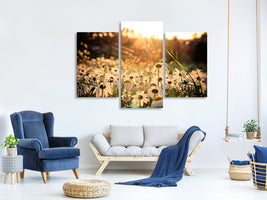 modern-3-piece-canvas-print-daisies-at-sunset