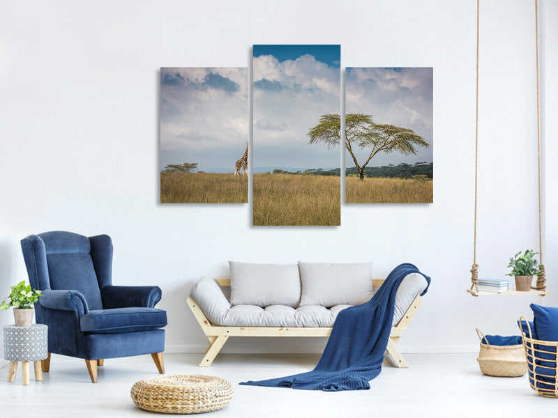 modern-3-piece-canvas-print-east-africa