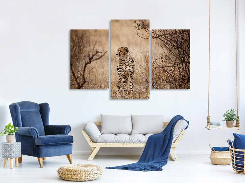 modern-3-piece-canvas-print-elegant-cheetah