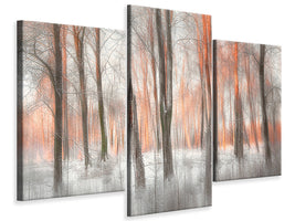 modern-3-piece-canvas-print-evening-light