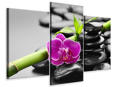 modern-3-piece-canvas-print-feng-shui-orchid