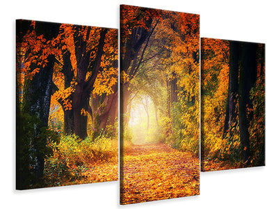 modern-3-piece-canvas-print-forest-walk