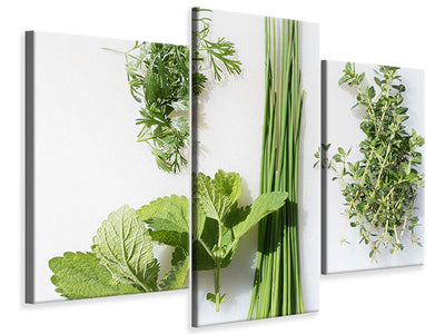 modern-3-piece-canvas-print-fresh-herbs