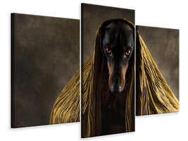 modern-3-piece-canvas-print-golden-eyes-a