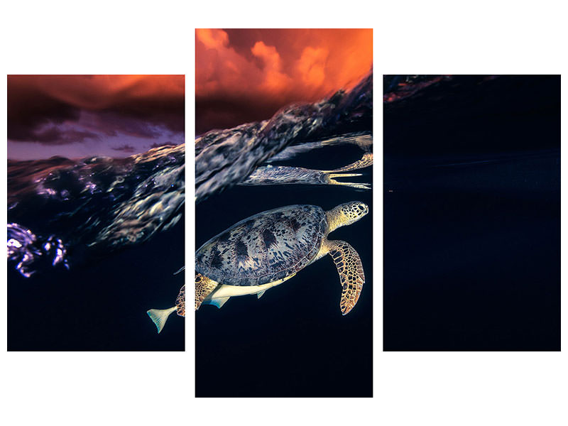 modern-3-piece-canvas-print-green-turtle-and-sunset-sea-turtle