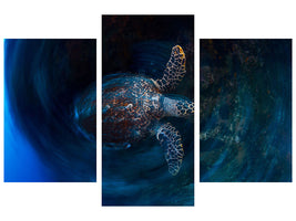 modern-3-piece-canvas-print-hawksbill-sea-turtle