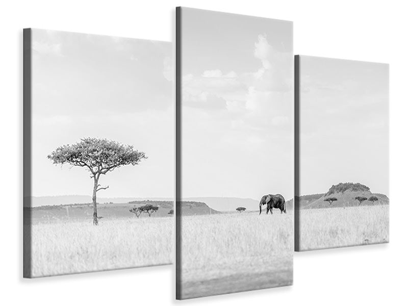 modern-3-piece-canvas-print-high-key-savannah