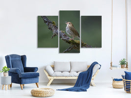 modern-3-piece-canvas-print-in-the-forest-p