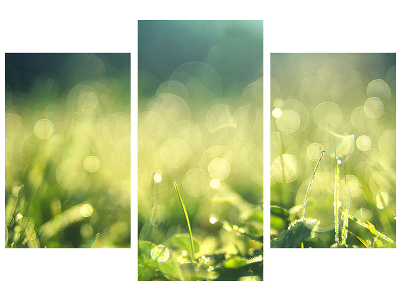 modern-3-piece-canvas-print-in-the-meadow