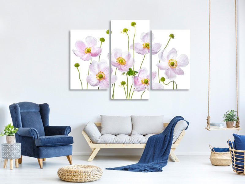 modern-3-piece-canvas-print-japanese-anemones