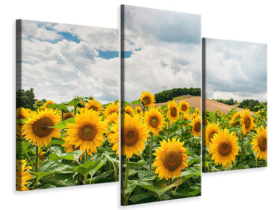 modern-3-piece-canvas-print-landscape-with-sunflowers