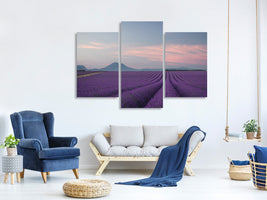 modern-3-piece-canvas-print-lavender-field