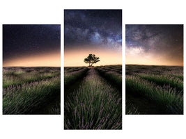 modern-3-piece-canvas-print-lavender-way