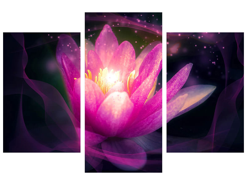modern-3-piece-canvas-print-lily-in-the-light-play
