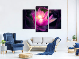 modern-3-piece-canvas-print-lily-in-the-light-play
