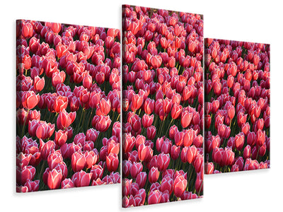 modern-3-piece-canvas-print-lush-tulip-field