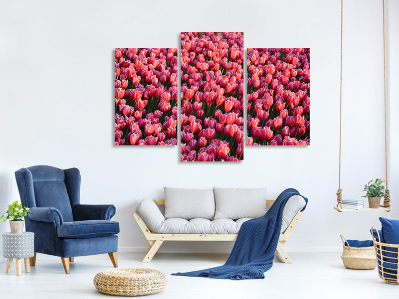 modern-3-piece-canvas-print-lush-tulip-field