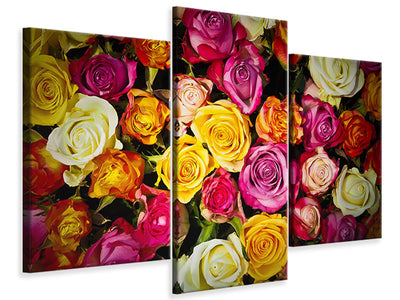 modern-3-piece-canvas-print-many-colorful-rose-petals