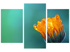 modern-3-piece-canvas-print-marigold-in-morning-dew
