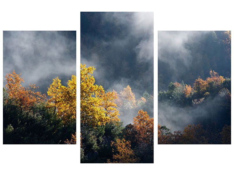 modern-3-piece-canvas-print-moonlight-forest