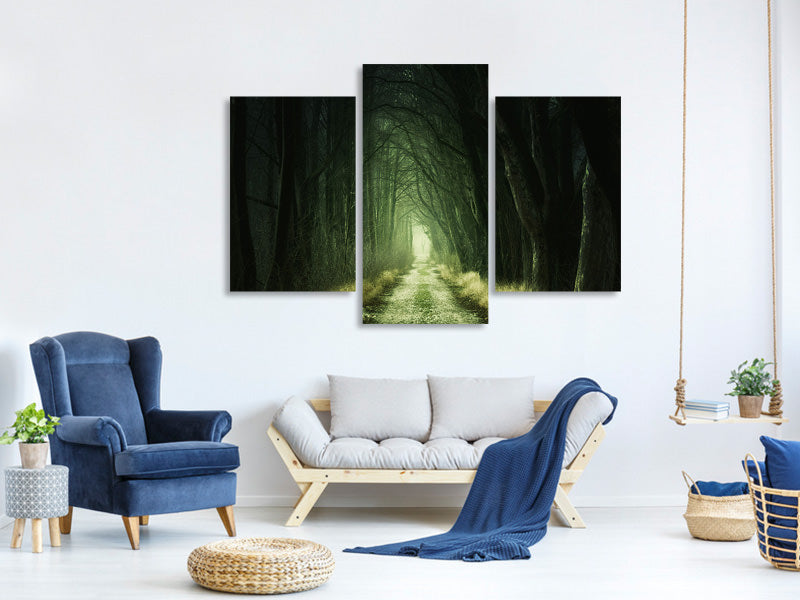 modern-3-piece-canvas-print-mysterious-forest-iii