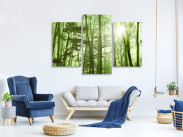 modern-3-piece-canvas-print-nibelungen-forest