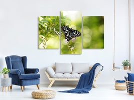 modern-3-piece-canvas-print-papilio-butterfly-xxl