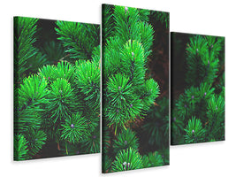 modern-3-piece-canvas-print-pine-xl