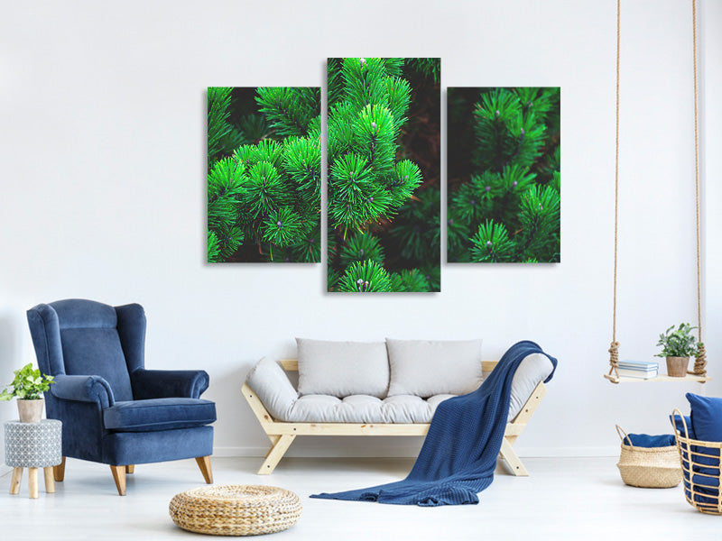 modern-3-piece-canvas-print-pine-xl