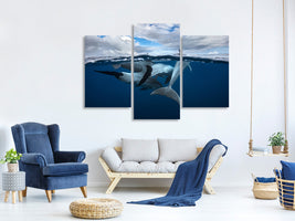 modern-3-piece-canvas-print-pod-of-dolphin-at-the-surface