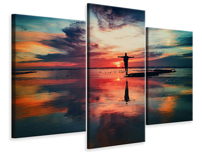 modern-3-piece-canvas-print-pure-freedom